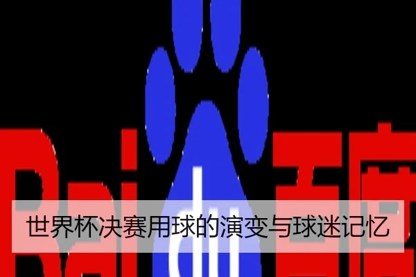 shi-jie-bei-jue-sai-yong-qiu-de-yan-bian-yu-qiu-mi-ji-yi-2-816.jpg
